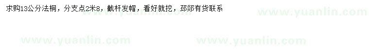 求購13公分法桐