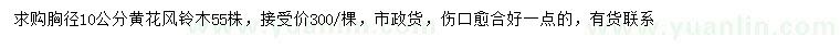 求購胸徑10公分黃花風(fēng)鈴木