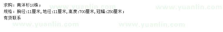 求購(gòu)胸徑11公分南洋杉