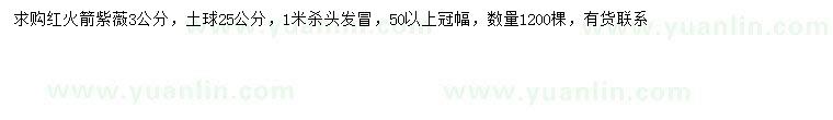 求購3公分紅火箭紫薇