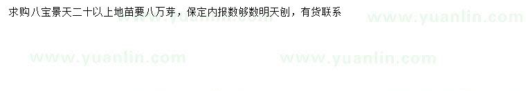 求購(gòu)20公分以上八寶景天