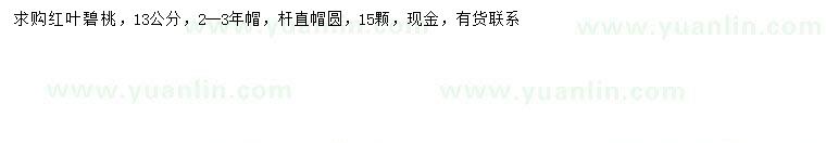 求購13公分紅葉碧桃