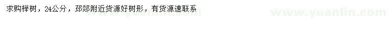 求購24公分櫸樹