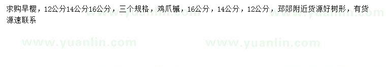 求購(gòu)12、14、16公分早櫻、雞爪槭