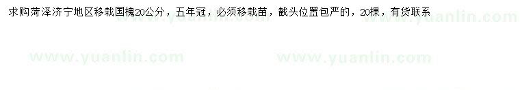 求購20公分國槐