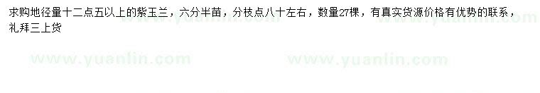求購地徑12.5公分以上紫玉蘭