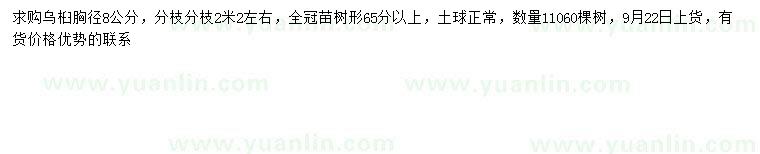 求購胸徑8公分烏桕