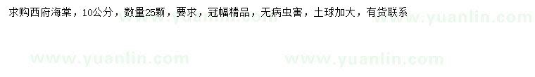 求購10公分西府海棠