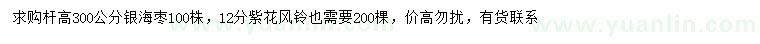 求購高300公分銀海棗、12公分紫花風(fēng)鈴