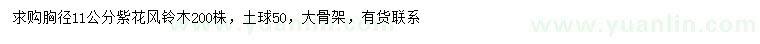 求購胸徑11公分紫花風(fēng)鈴木