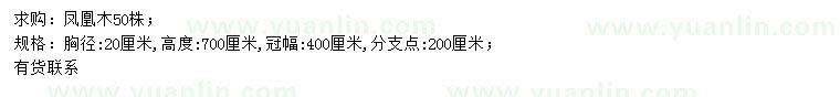 求購胸徑20公分鳳凰木