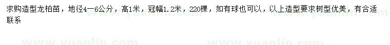 求購地徑4-6公分造型龍柏