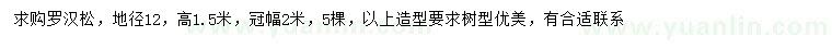 求購地徑12公分羅漢松