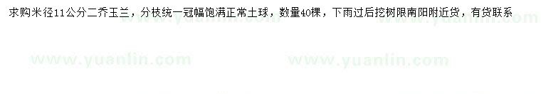 求購米徑11公分二喬玉蘭