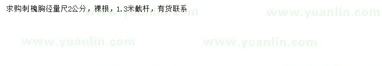 求購(gòu)胸徑2公分刺槐