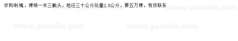 求購30量2.5公分刺槐
