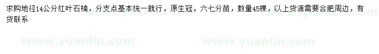 求購地徑14公分紅葉石楠