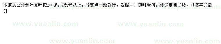 求購10公分金葉復(fù)葉槭
