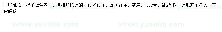 求購高1-1.3米油松、樟子松