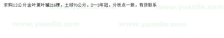 求購(gòu)12公分金葉復(fù)葉槭