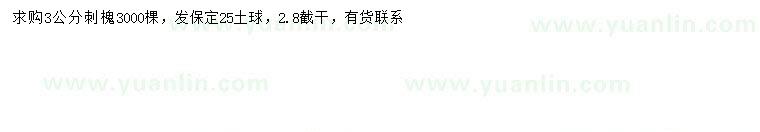 求購3公分刺槐