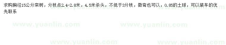 求購胸徑15公分欒樹