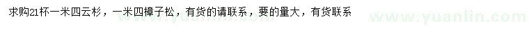 求購1.4米云杉、樟子松