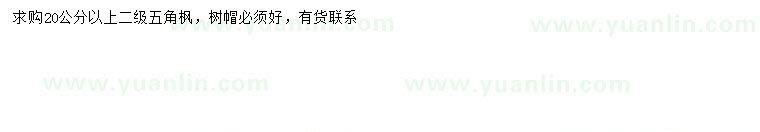 求購(gòu)20公分以上五角楓
