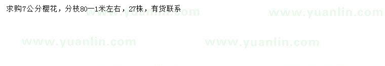 求購7公分櫻花