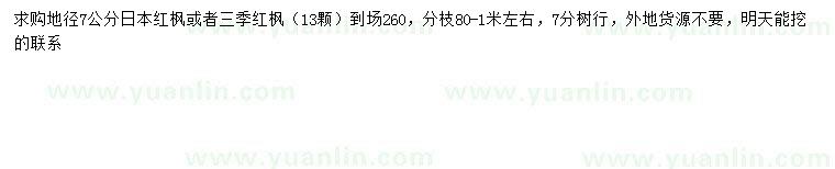 求購地徑7公分日本紅楓、三季紅楓