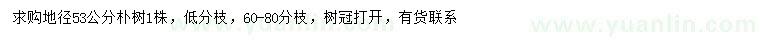 求購(gòu)地徑53公分樸樹(shù)