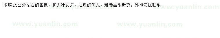 求購(gòu)15公分左右國(guó)槐