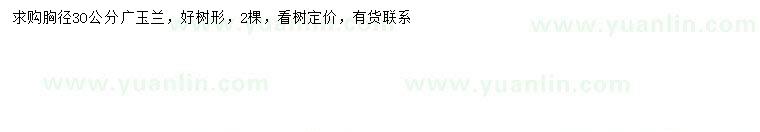 求購胸徑30公分廣玉蘭