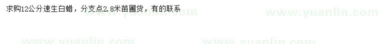 求購12公分速生白蠟