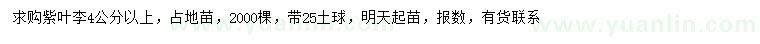 求購(gòu)4公分以上紫葉李