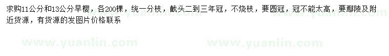 求購11、13公分早櫻