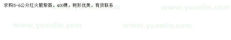 求購5-6公分紅火箭紫薇