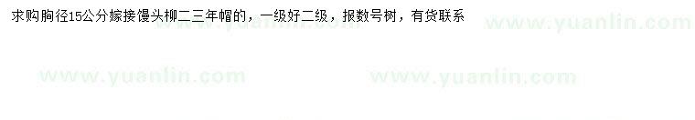求購(gòu)胸徑15公分饅頭柳