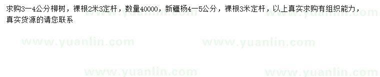 求購3-4公分柳樹、4-5公分新疆楊