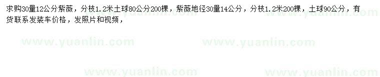 求購30量12、14公分紫薇