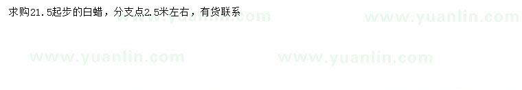 求購21.5公分以上白蠟
