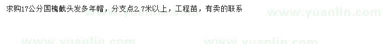 求購17公分國槐