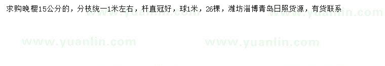 求購15公分晚櫻