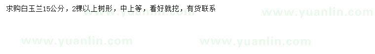 求購15公分白玉蘭