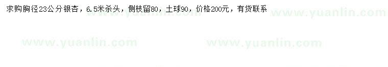 求購胸徑23公分銀杏