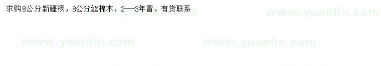 求購8公分新疆楊、絲棉木