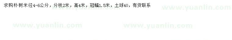 求購米徑4-6公分樸樹