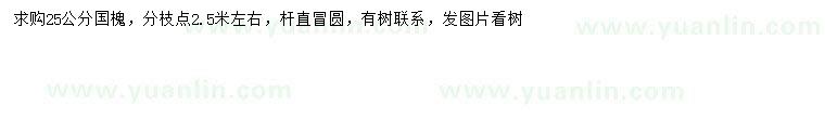 求購25公分國槐