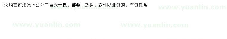 求購7公分西府海棠