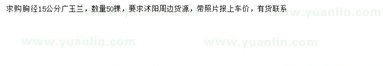 求購胸徑15公分廣玉蘭